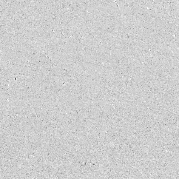 Spacco White